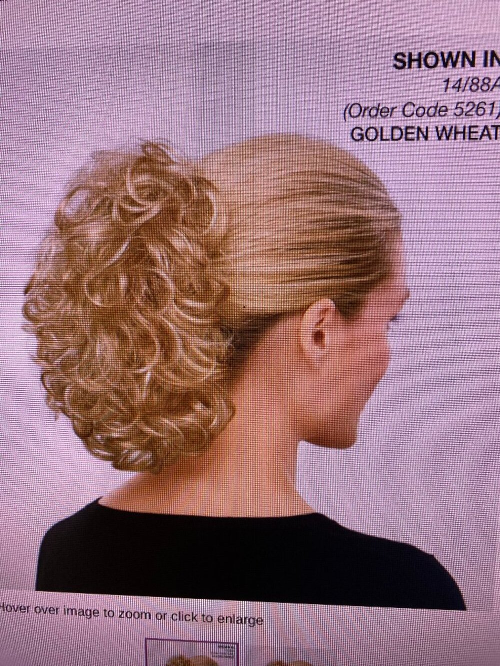 Beautiful Curly Girl New in Box, Clip on hairpiece. Paula Young Golden Wheat